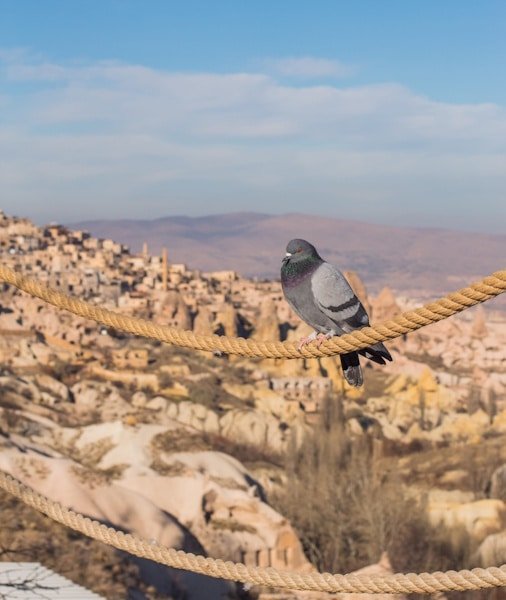 Blue Tour Cappadocia 2026